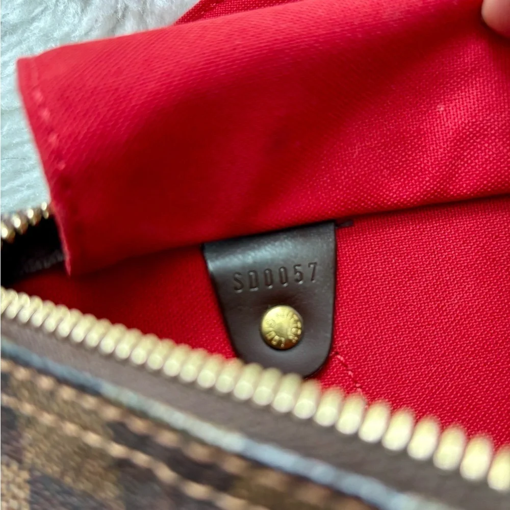 Louis Vuitton Damier Ebene Speedy 25 Bag